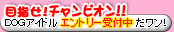 DOG�A�C�h���G���g���[�͂����炩��