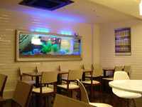 �C�^���A�����X�g����