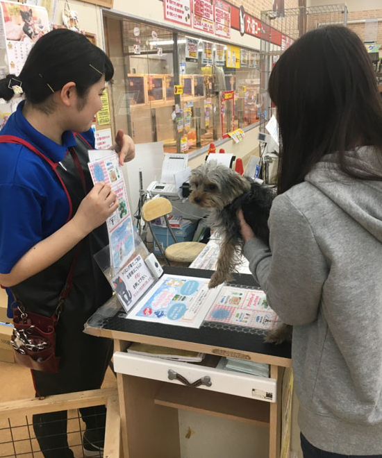 スタッフの接客