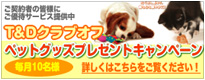キャンペーン